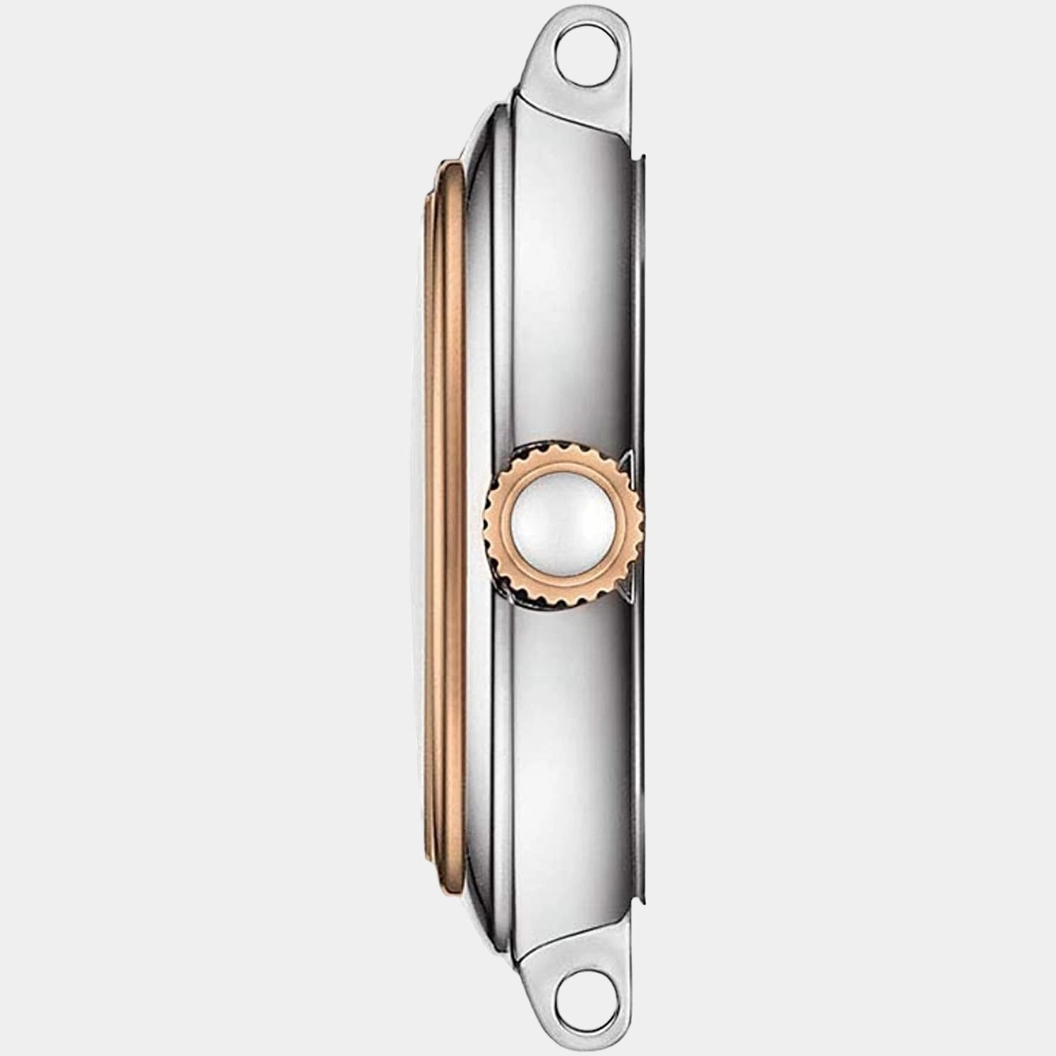 Bellissima Women Analog Stainless Steel Watch T1260102201301