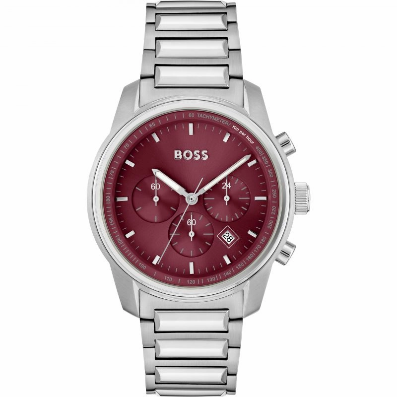 Boss Watches Stainless Steel Mens Watch 1514004
