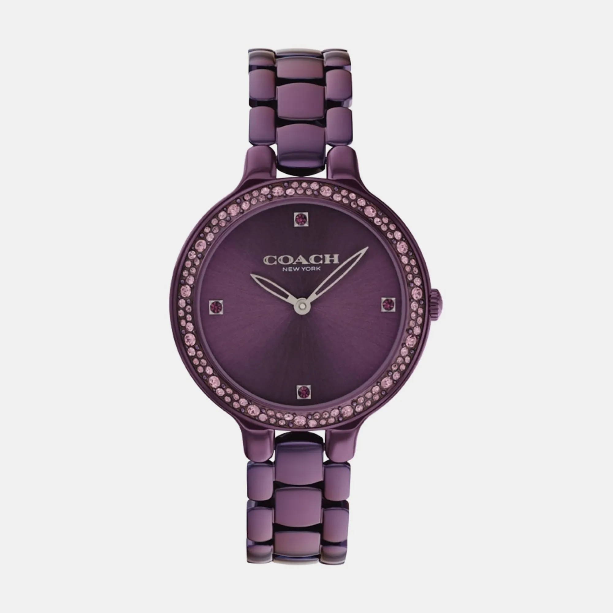 Chelsea Women Quartz Purple Dial Analog Stainless Steel Watch 14504353