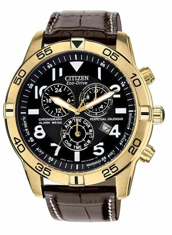 Citizen Eco-Drive Perpetual Calendar Chronograph Alarm 100M Mens Watch