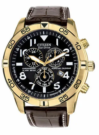 Citizen Eco-Drive Perpetual Calendar Chronograph Alarm 100M Mens Watch