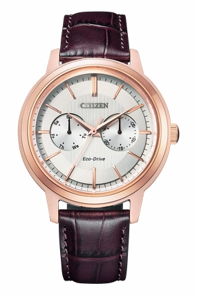 Citizen Eco-Drive Brown Leather Strap White Dial Watch BU4032-11A