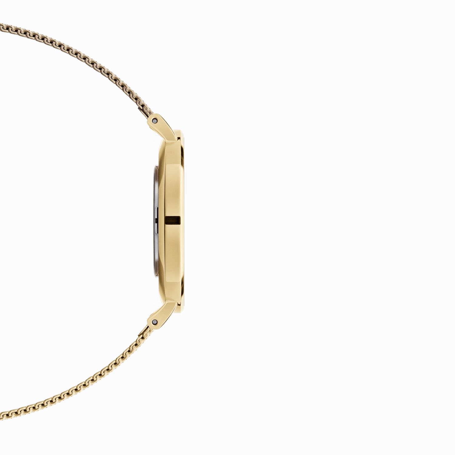 Daniel Wellington Petite Evergold 36mm Watch DW00100345