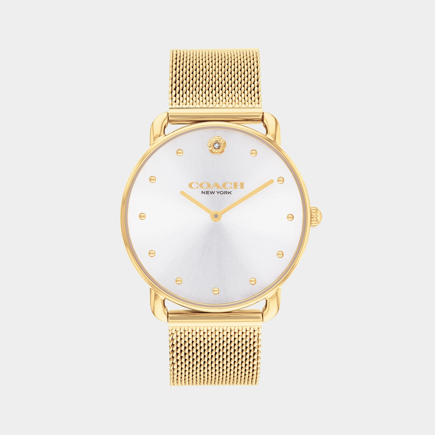 Elliot Women Quartz Silver Dial Analog Stainless Steel Watch 14504208