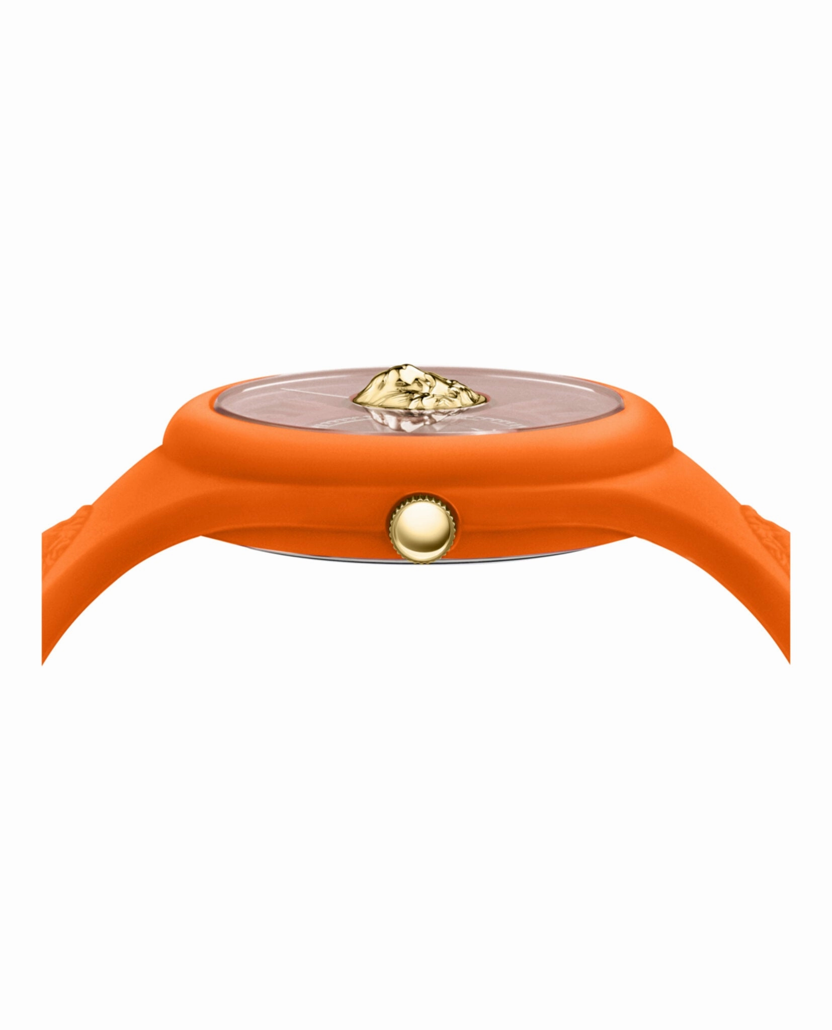 Fire Island Lion Strap Watch