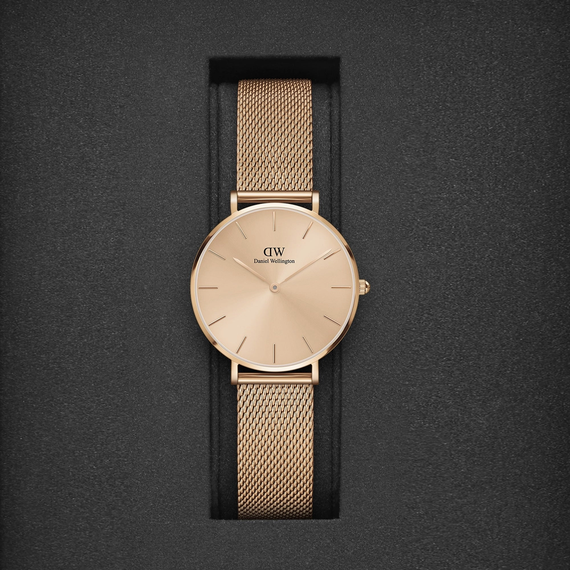 Petite Women's Rose Gold Analog Stainless Steel Watch DW00100471