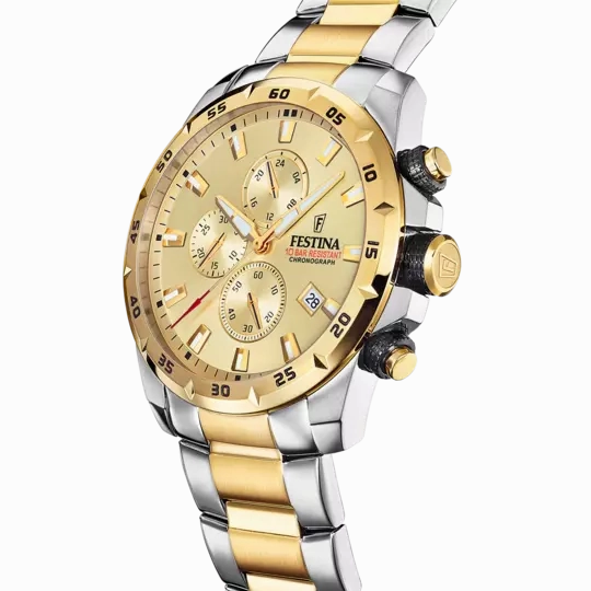 Reloj Festina Gold Dial Stainless Steel Men's Watch F20562/1