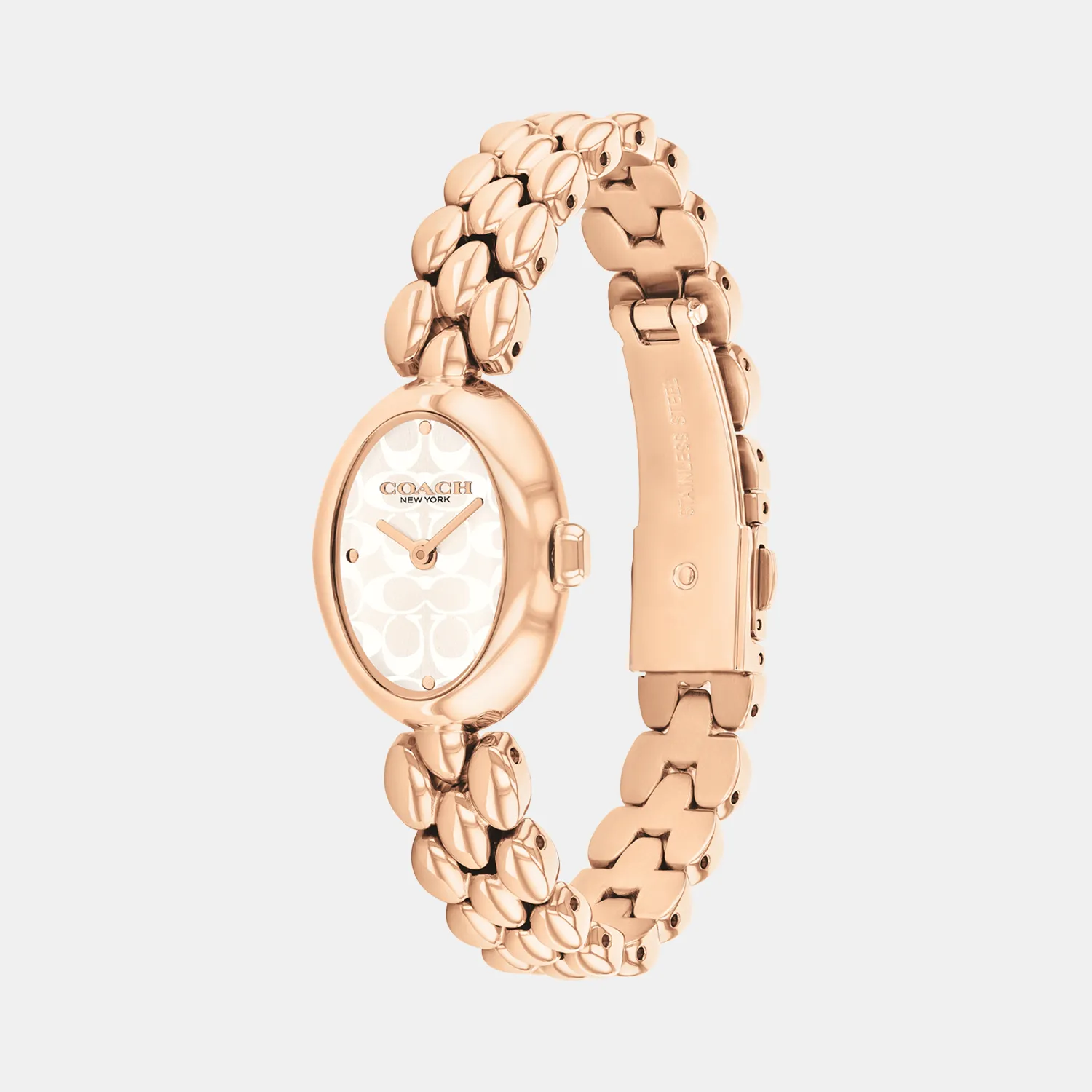 Sammy Women Quartz Silver Dial Stainless Steel Watch 14504437