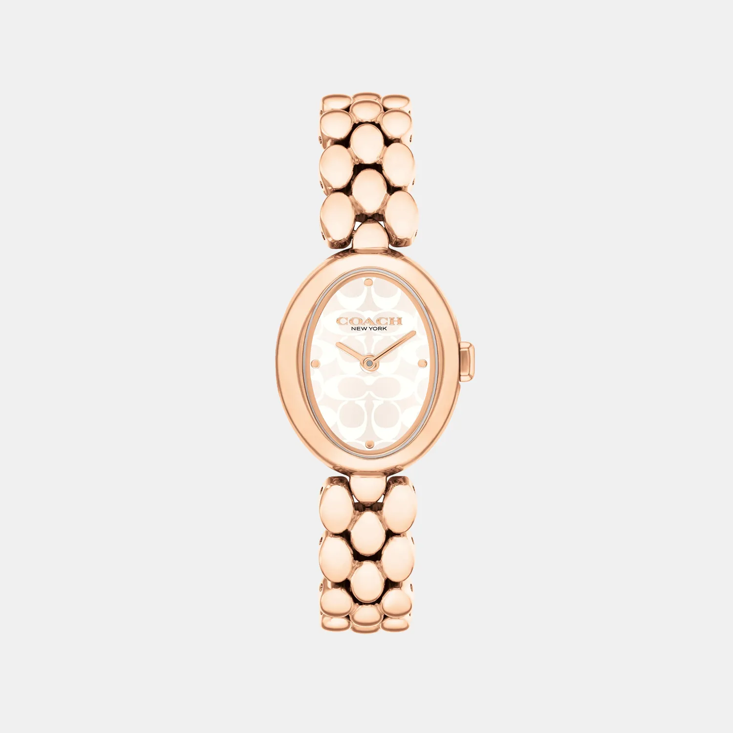 Sammy Women Quartz Silver Dial Stainless Steel Watch 14504437