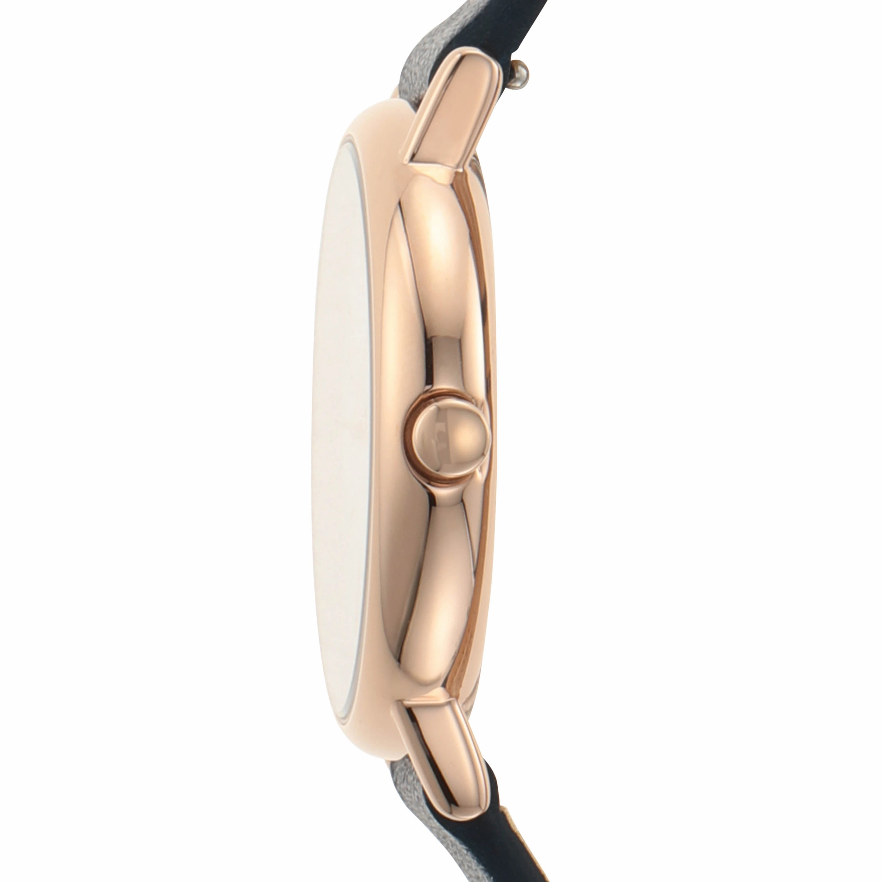 Skagen Signatur Blue Analogue Watch SKW2838