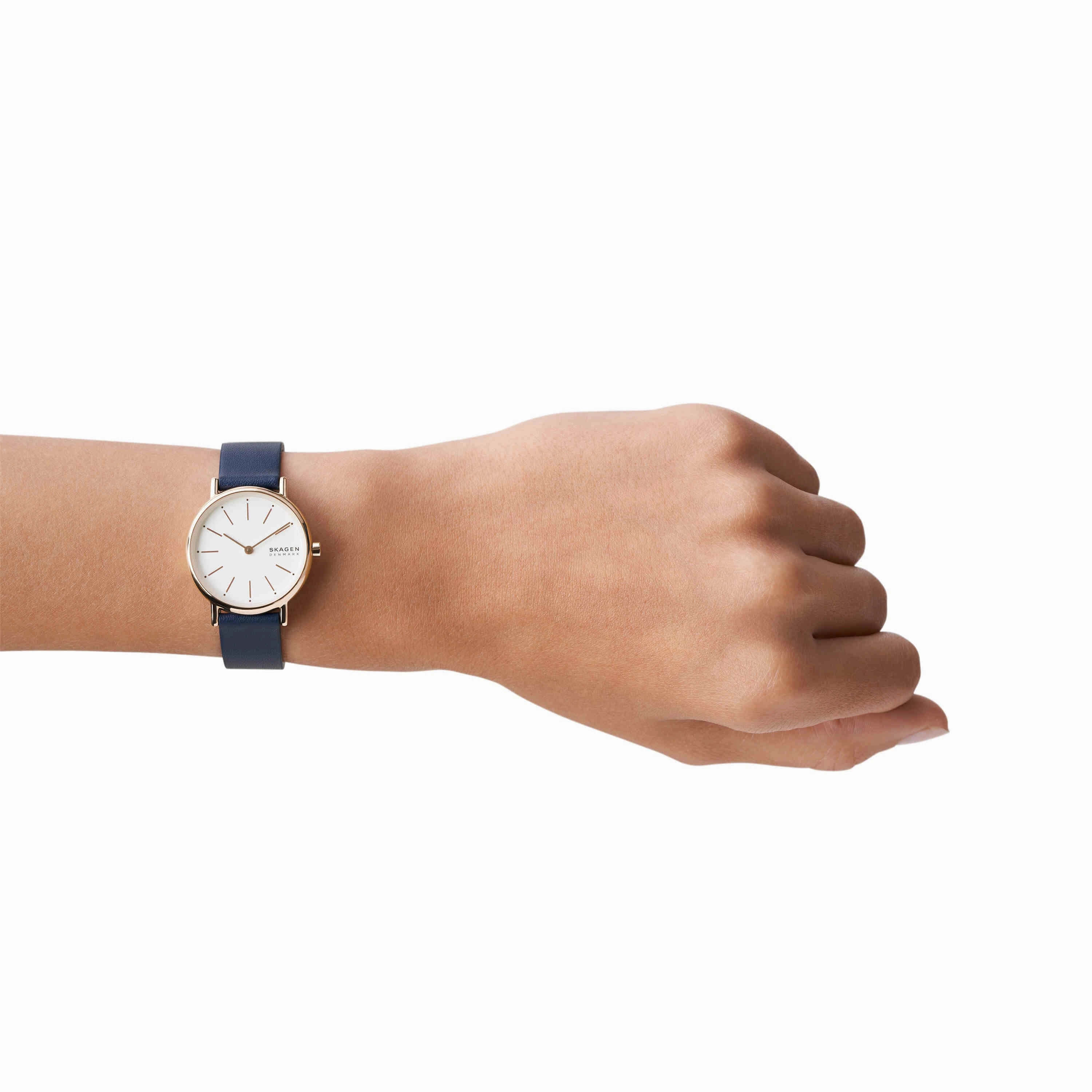 Skagen Signatur Blue Analogue Watch SKW2838