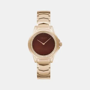 Women Brown Analog Stainless Steel Watch V261LEVNSV